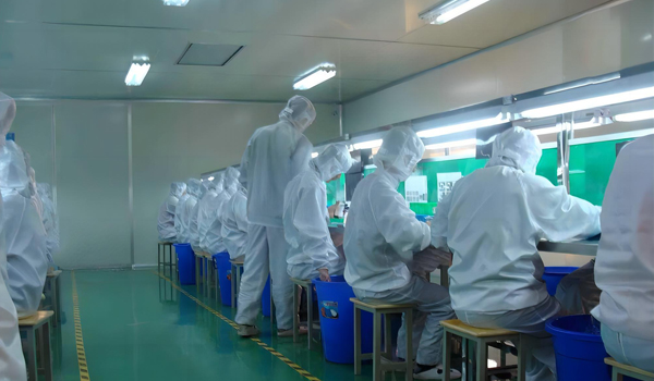 大香蕉在线看理纶片模组